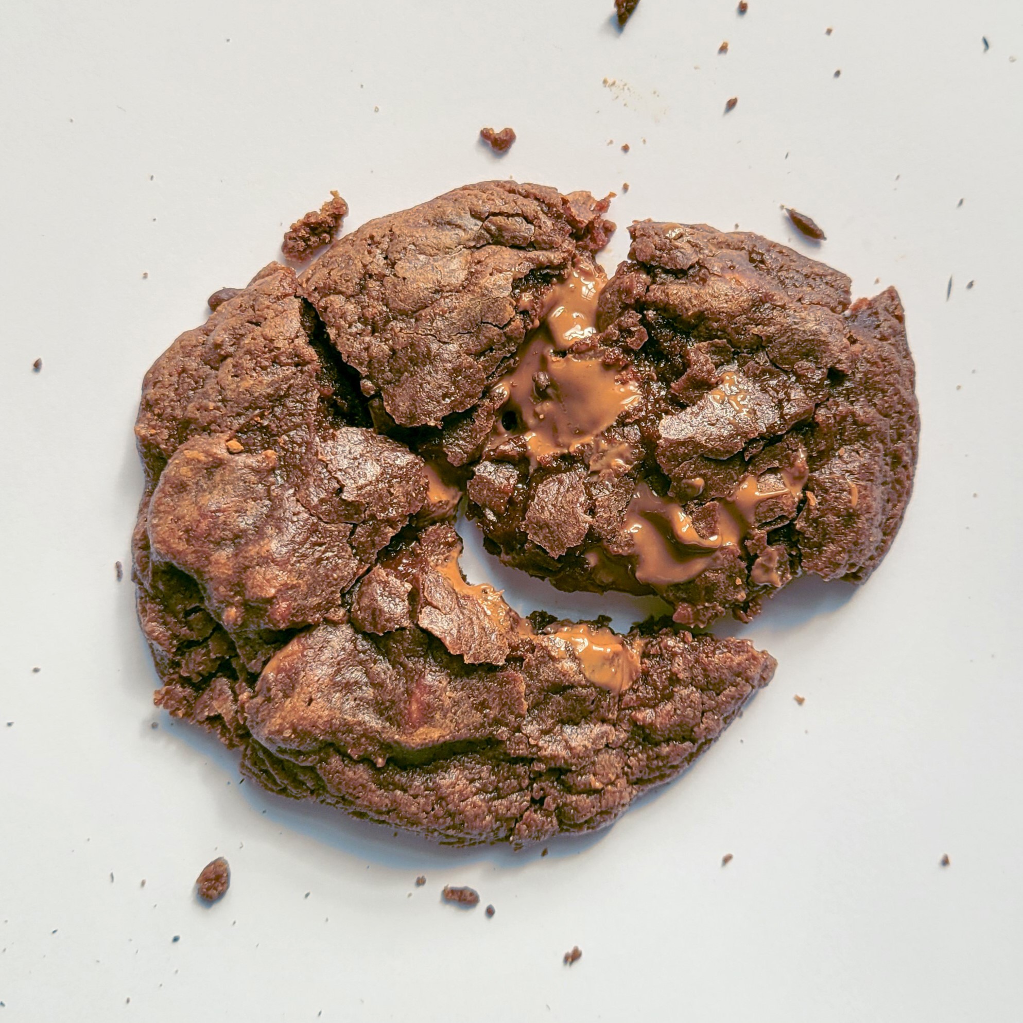 Double Choc Chip Cookies